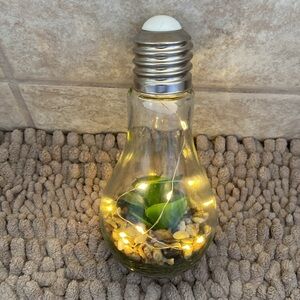🆕CHEERFUL: Light up Decorative Light Bulb with Faux Succulent & Pebbles CHD798